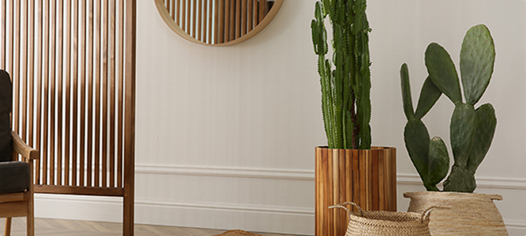 Deux cactus dans des pots en bois et en osier sont placés devant un miroir rond et un panneau en bois.