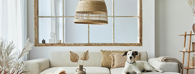 Un chien blanc et noir est allongé sur un canapé beige, décoré de coussins et d'un vase avec des feuilles dorées.