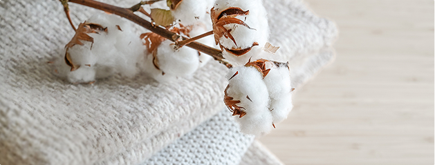 Branche de coton blanc posée sur des tissus en maille beige et gris clair, sur une surface en bois clair.